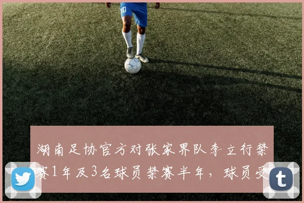 湖南足协官方对张家界队李立行禁赛1年及3名球员禁赛半年，球员受罚原因与事件始末解析