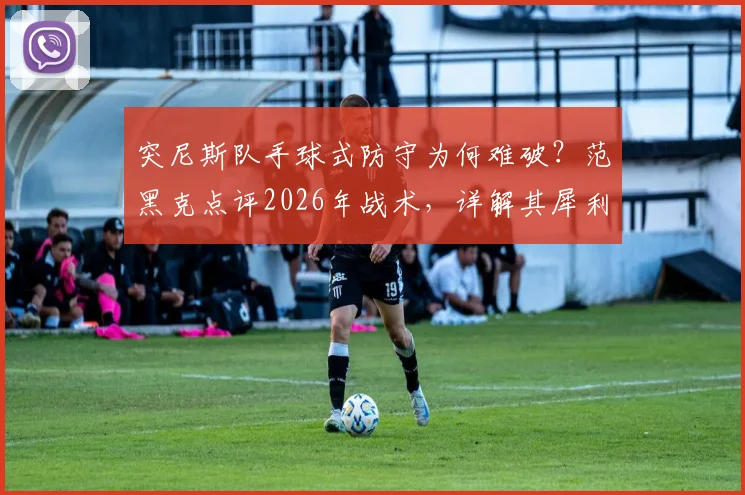 突尼斯队手球式防守为何难破?范黑克点评2026年战术,详解其犀利反击威胁