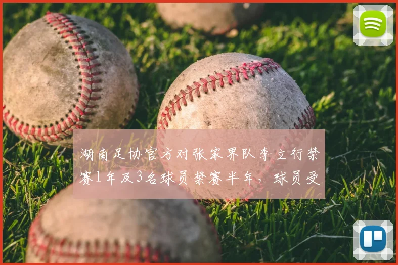 湖南足协官方对张家界队李立行禁赛1年及3名球员禁赛半年,球员受罚原因与事件始末解析